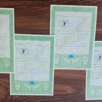 قسطی-بخر-زمین-500متری