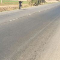 زمین-ویلایی