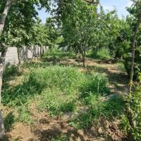 250-متر-باغچه-چهار-دیواری-سند-تک-برگ-در-کردزار