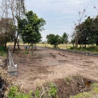 فروش-420-متر-زمین-ابعاد-مستطیل-کاسبی-کد790