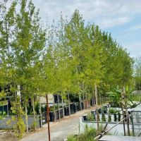 قیمت-کل-1میلیارد-فقط-یک-قواره-موجود-شهرک-خصوصی