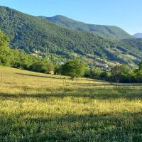 3-قطعه-دو-هزار-متری-زمین-ییلاقی