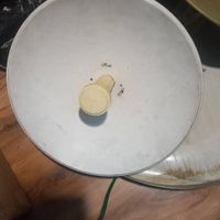 کانفیگ میکروتیکvoipسویچ اینترنت تعمیرات نصب ویندوز|خدمات رایانه‌ای و موبایل|کرج, درختی|دیوار
