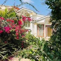 نیم-پیلوت-250متری-سنددار-شهرکی