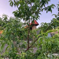 خانه-خیاط-دار-معاوضه-تهرانپارس