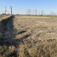 زمین-زراعی-بغل-جاده-اصلی-بین-المللی