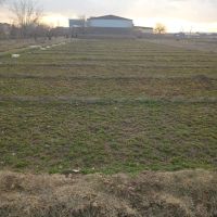 زمین-در-کلاغان