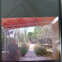 850-متری-جنگلی