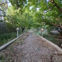 باغ-700متری-سندشش-دانگ-نوبهار