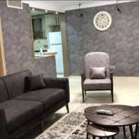 سویت-نقلی-باغ-ملی-حیاط-دار