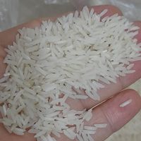 برنج پر محصول فجر هاشمی|خوردنی و آشامیدنی|صومعه‌سرا, |دیوار