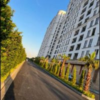 حاج-رحیم-قربانی-کوهک