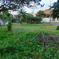 1320مترزمین-بابنای-120متری-کلنگی-سندتک-برگ