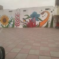 یه-قطعه-زمین-دو-بر-مناسب-ساخت-و-ساز-و-کافه-رستوران