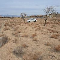 زمین-مناسب-ساخت-و-ساز