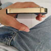 اپل iPhone 13 Pro با حافظهٔ ۲۵۶ گیگابایت|موبایل|مشهد, حجت|دیوار