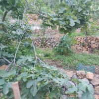 زمین-باغ-گردشگری