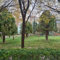 خوابگاه-کارمند-و-دانشجو-دخترانه-شایسته-با-غذا