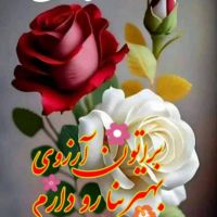 زمین-سایت-مکانیکی