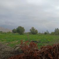 فروش-زمین-در-کنگان-چاه-مجنون