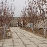 باغ-ویلا300-متری-سندتک-برگ-شهریار-میدان-نماز-دهشاد