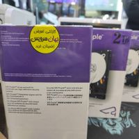 هارد بنفش اصل WD Purple گارانتی جهان سرویس ۵۵۵ روز|قطعات و لوازم جانبی رایانه|تهران, میدان انقلاب|دیوار