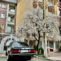 بی ام و  BMW E30 316 کلاسیک|خودرو کلاسیک|تهران, کاشانک|دیوار