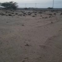 زمین-در-سعید-اباد