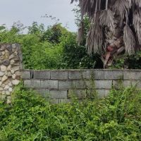 اسکان-متخصص-در-ویلا-شمال-کشور