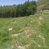 زمین-آماده-ویلا-سازی-خوش-آب-و-هوا-با-حق-آبه-دائمی