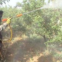 تیلر زنی باغ چال زنی سمپاشی کاتر  آسفالت بری و ...|خدمات باغبانی و درختکاری|اصفهان, جوزدان الیادران|دیوار