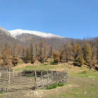 اجاره-مرغداری-گوشتی