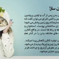 پودر کلاژن ماهی فله پپتینا|خوردنی و آشامیدنی|تهران, اباذر|دیوار