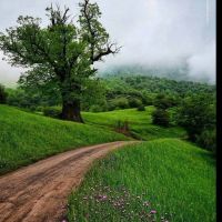 زمین-تفریحی