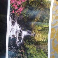 نخ و نقشه تابلو فرش|تابلو فرش|تهران, نظام‌آباد|دیوار