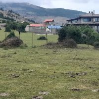 دو-قطعه-340-متری-داخل-مجتمع-و-بافت