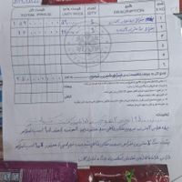 یخچال فروشگاهی|فروشگاه و مغازه|تهران, المهدی|دیوار