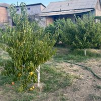 ویلا در ۱۵ کیلومتری ایروان ارمنستان|فروش خانه و ویلا|تهران, فاطمی|دیوار