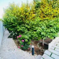 ویلا-باغستان-شهریار-تهاتر-با-خودرو-و-ملک-خادم-آباد