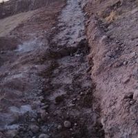 زمین-فروشی-دشت