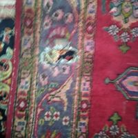فرش دستباف مناسب|فرش|خوی, |دیوار