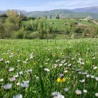 فروش-زمین-گیلان