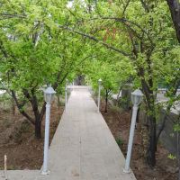 باغ-اجاره-ایی-در-مهریز
