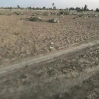 فروش-زمین-روستای-جانی-میلک-نزدیک-میلک
