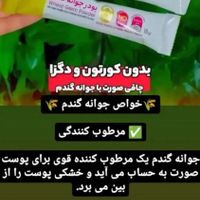 تپل شو|خوردنی و آشامیدنی|تهران, افسریه|دیوار