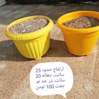 گلدان های پلاستیکی و سرامیکی نو و دست دوم|گل و گیاه طبیعی|تهران, آبشار|دیوار