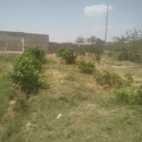 750متذ-باغچه