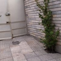 خونه-نقلی-حیاط-دار-ماشین-رو