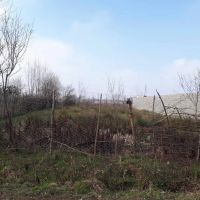 زمین-مسکونی-در-شمال