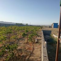 مرغداری گوشتی 15هزاری با آخرین متد روز اروپا|فروش دفتر صنعتی، کشاورزی، تجاری|سبزوار, |دیوار